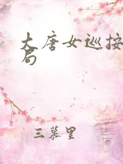 大唐女巡按大结局