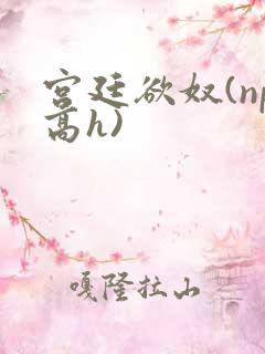 宫廷欲奴(np高h)