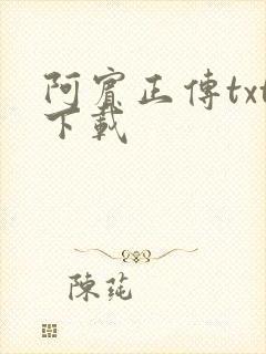 阿宾正传txt下载