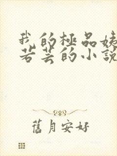 我的极品姨妈柳若芸的小说在线