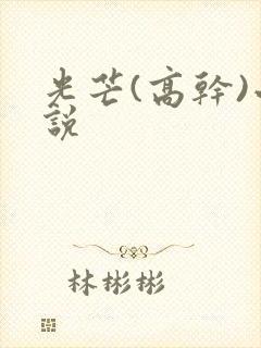 光芒(高干)小说