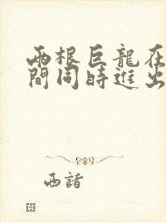 两根巨龙在她腿间同时进出