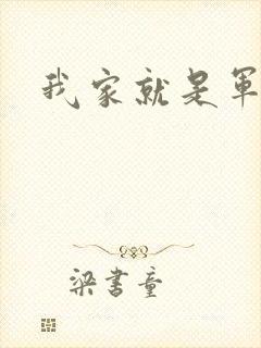我家就是军火铺