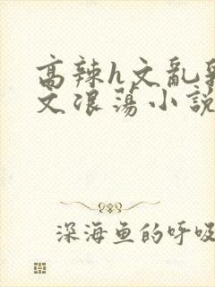 高辣h文乱乳h文浪荡小说苏瑾瑶