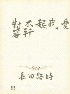 对不起我爱你慕容轩