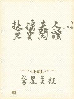 扶摇夫人.小说免费阅读