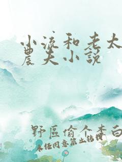 小流和老太69农夫小说