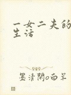 一女二夫的激情生活