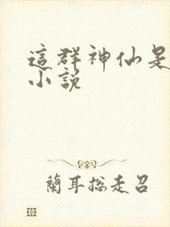 这群神仙是假的小说