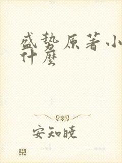 盛势原著小说叫什么