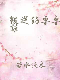 叛逆的鲁鲁修小说