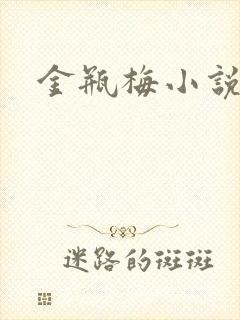 金瓶梅小说