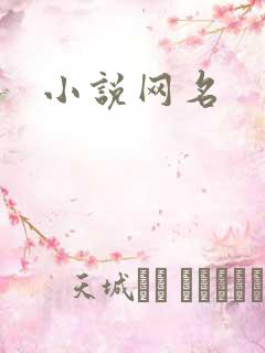 小说网名
