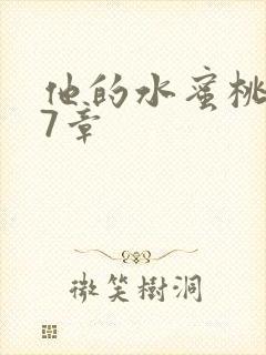 他的水蜜桃第27章