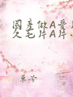 国产做A爱片久久毛片A片小说