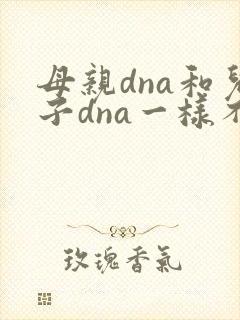 母亲dna和儿子dna一样不