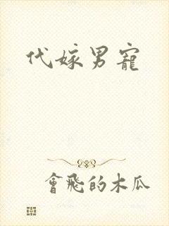 代嫁男宠
