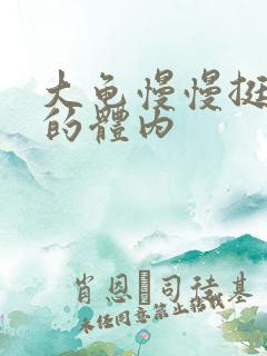 大龟慢慢挺进我的体内