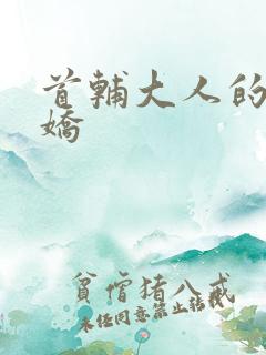 首辅大人的掌心娇