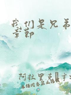 我们是兄弟最新章节