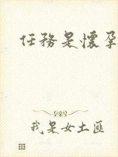 任务是怀孕系统