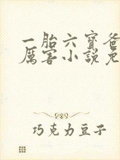 一胎六宝爸比好厉害小说免费阅读