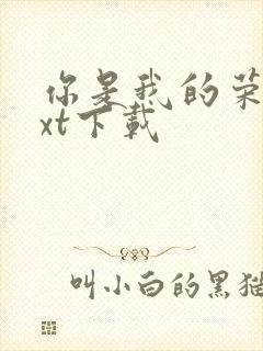 你是我的荣耀txt下载