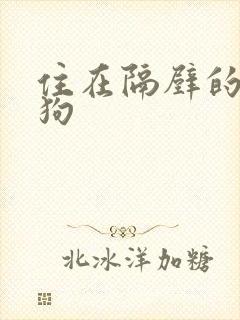 住在隔壁的小狼狗