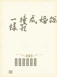 一撞成婚总裁花样宠