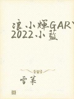 浪小辉GARY2022小蓝