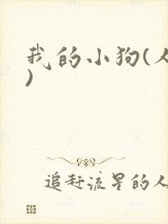 我的小狗(人外)