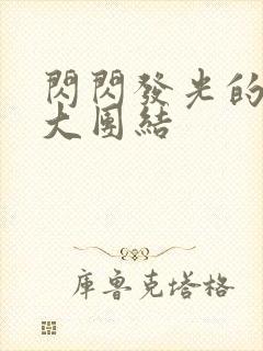 闪闪发光的小说大团结