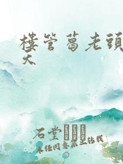 楼管葛老头的春天