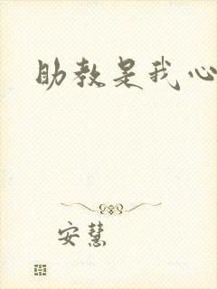 助教是我心尖宠