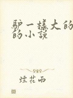 驴一样大的凶器的小说