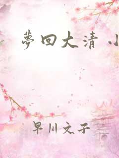梦回大清 小说