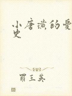 小唐璜的爱情历史