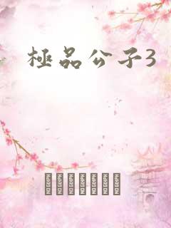 极品公子3