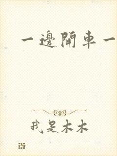 一边开车一边做