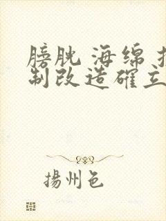 膀胱 海绵 控制改造确立m