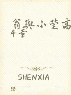 翁与小莹高潮24章