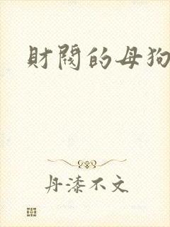 财阀的母狗们