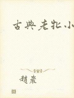 古典老牝小说