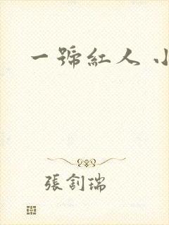 一号红人 小说