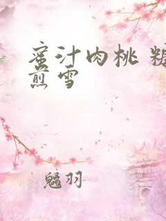 蜜汁肉桃 糖梨煎雪