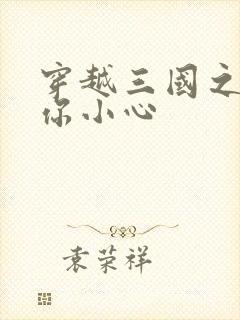 穿越三国之孔明你小心