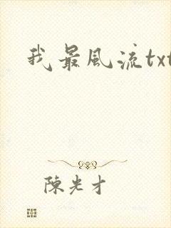 我最风流txt