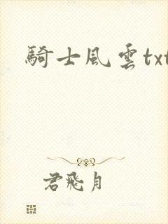 骑士风云txt
