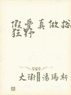 假爱真做总裁太狂野