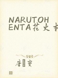 NARUTOHENTA花火本子